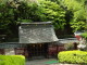 img0009.jpg