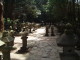 img0014.jpg
