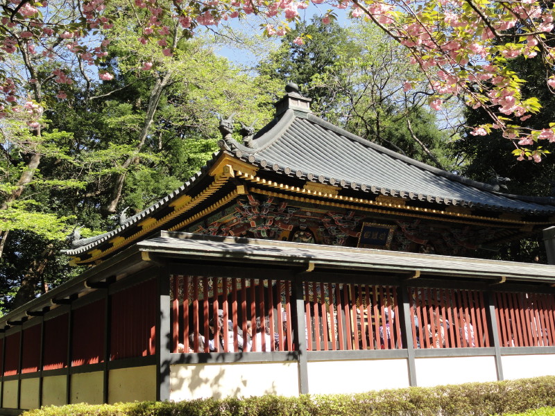 img0020.jpg