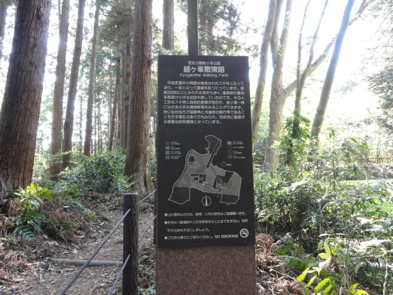 img0030.jpg