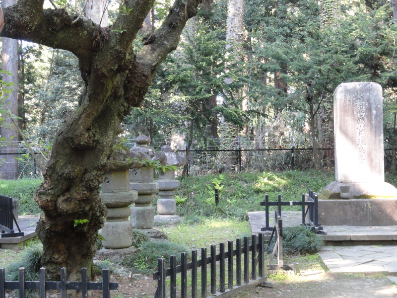 img0045.jpg