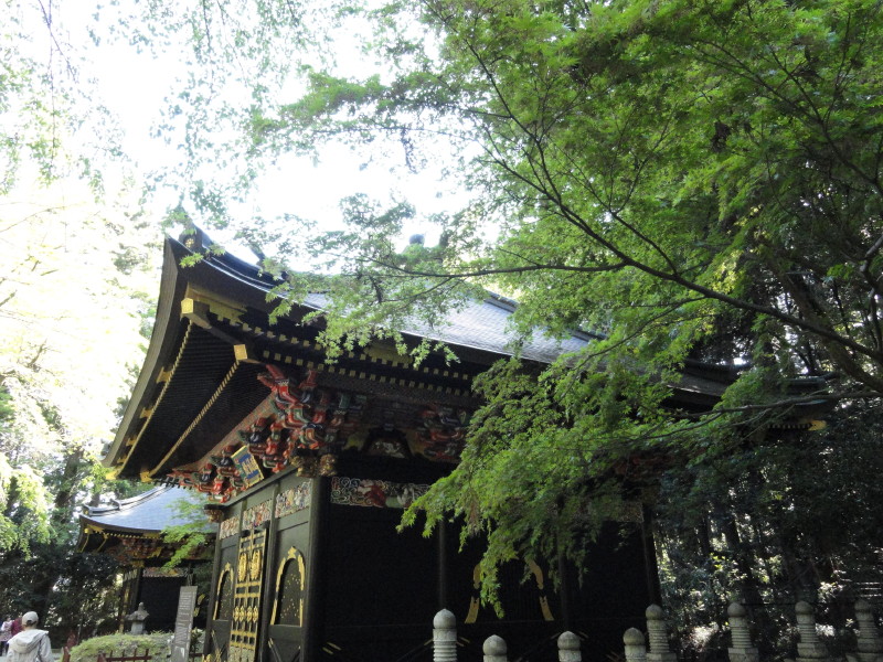 img0056.jpg