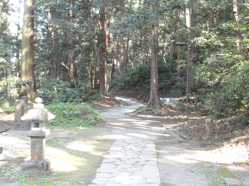 img0063.jpg