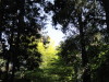 img0001.jpg