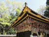 img0009.jpg
