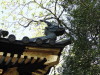 img0018.jpg