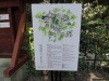 img0022.jpg