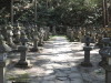 img0062.jpg
