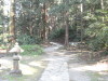 img0063.jpg