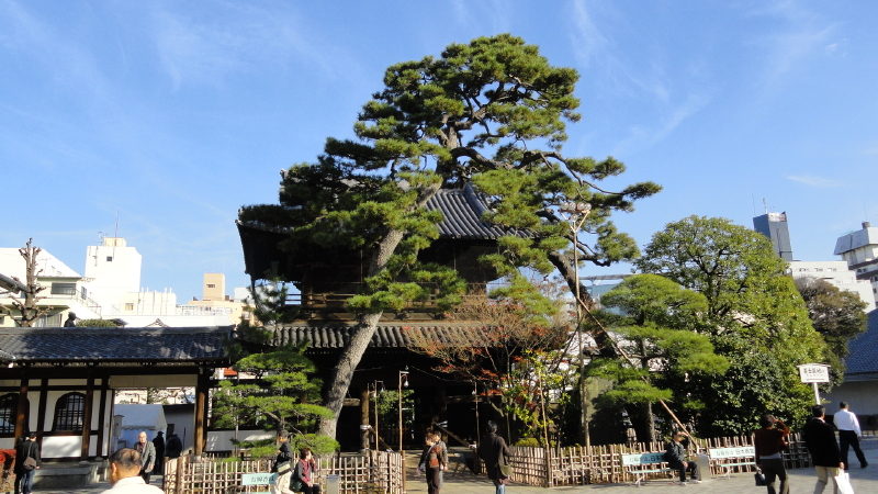 img0003.jpg