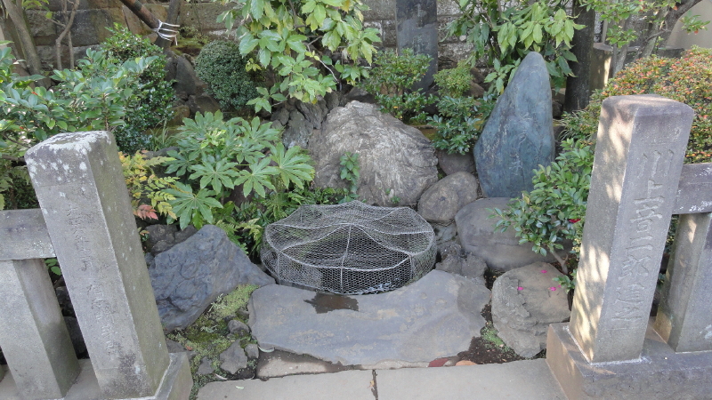 img0007.jpg