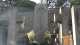img0009.jpg