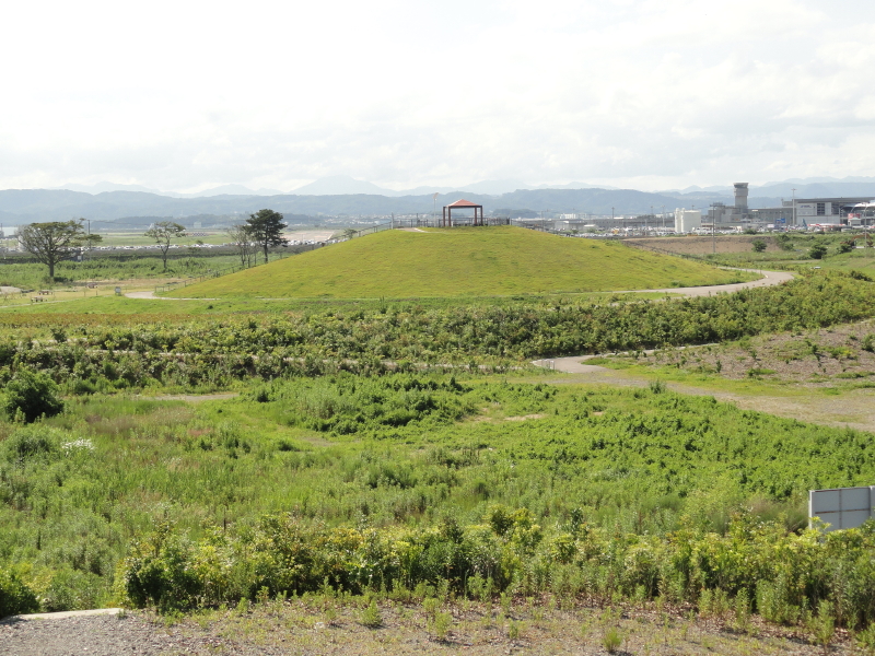 img0019.jpg