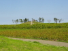 img0008.jpg
