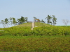 img0009.jpg