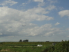 img0018.jpg