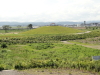 img0019.jpg