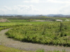 img0024.jpg