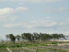img0030.jpg