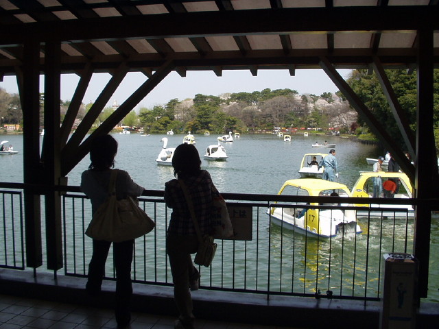img0002.jpg