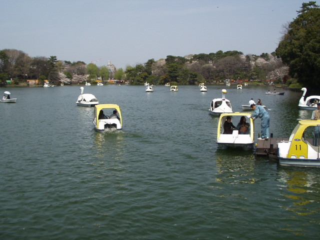 img0003.jpg