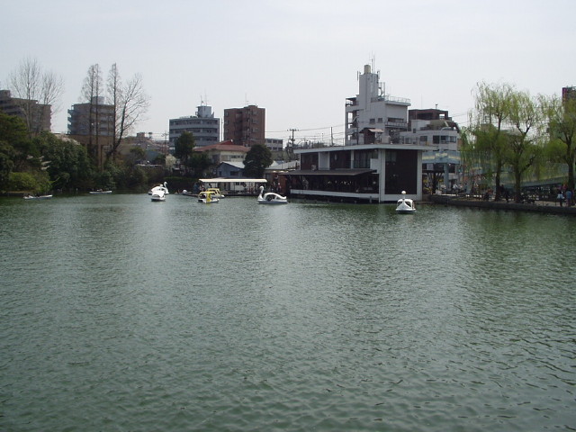 img0005.jpg