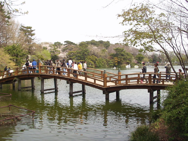 img0006.jpg