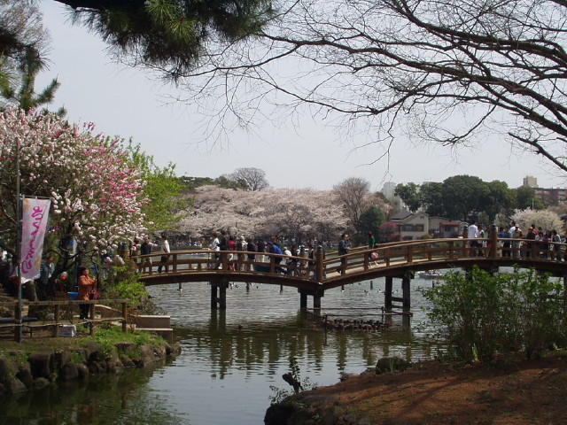 img0007.jpg
