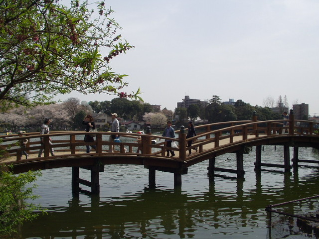img0009.jpg