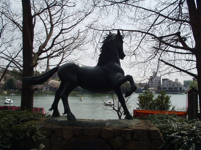 img0011.jpg