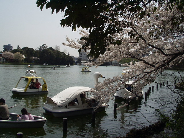 img0013.jpg