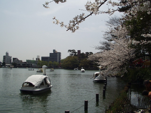 img0014.jpg