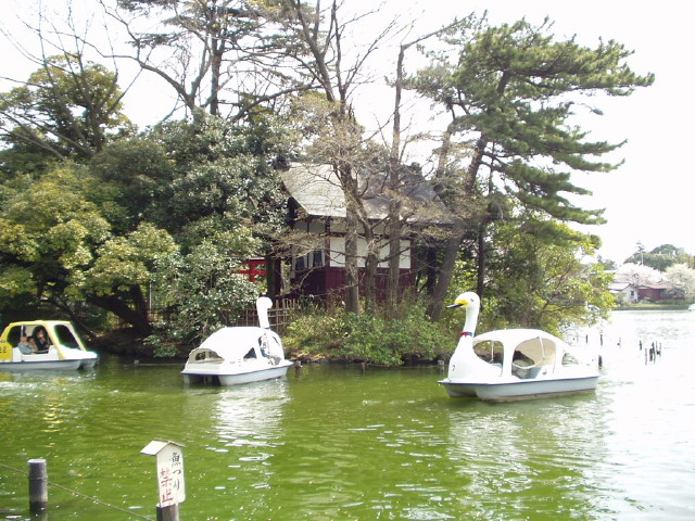 img0015.jpg