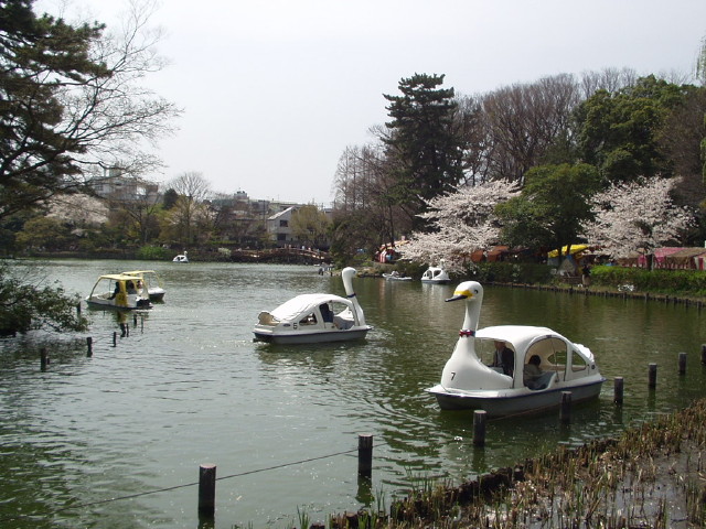 img0016.jpg