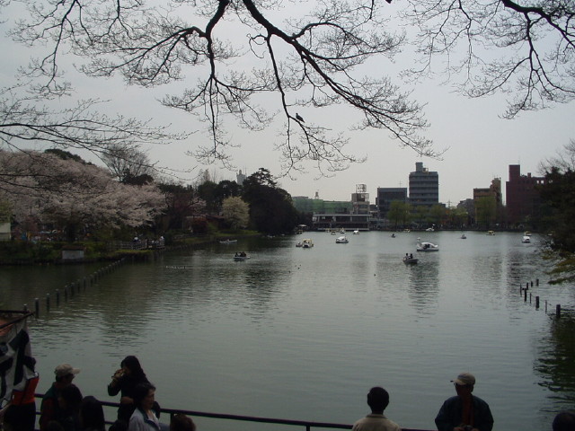 img0017.jpg
