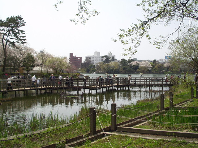 img0019.jpg
