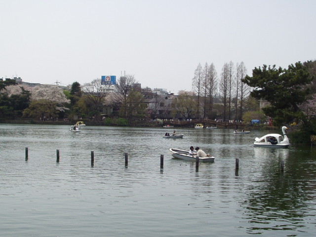 img0020.jpg