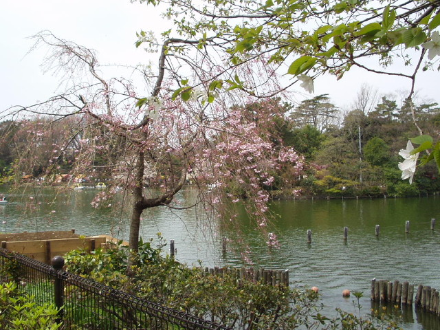 img0021.jpg