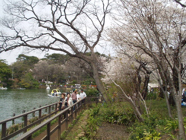 img0023.jpg