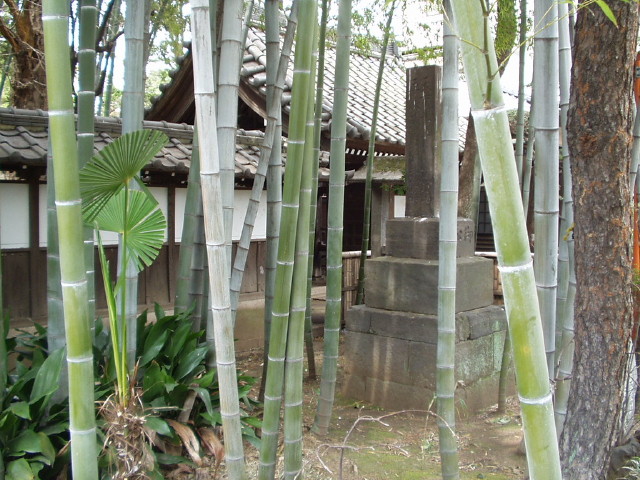 img0024.jpg