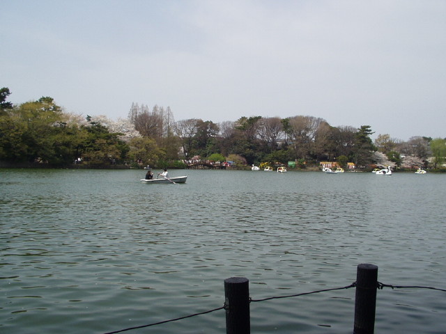 img0029.jpg