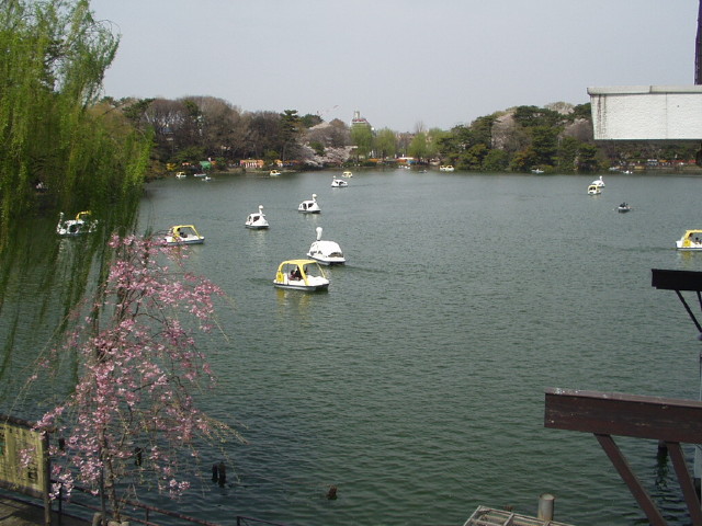 img0032.jpg