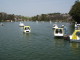 img0003.jpg