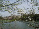 img0004.jpg