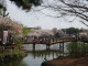 img0007.jpg
