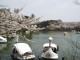 img0012.jpg