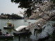 img0013.jpg