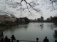img0017.jpg