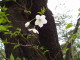 img0018.jpg