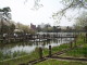 img0019.jpg